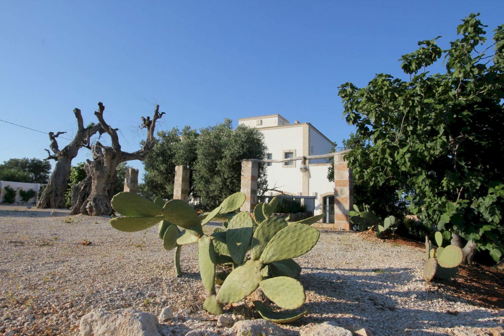 Masseria Lama Di Coccaro Savelletri Kültér fotó
