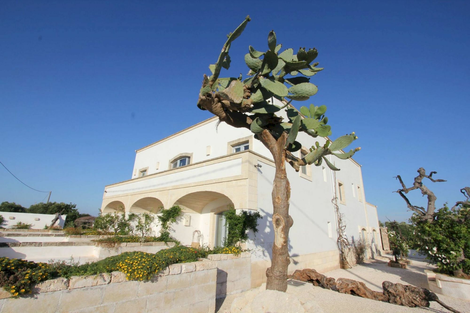 Masseria Lama Di Coccaro Savelletri Kültér fotó
